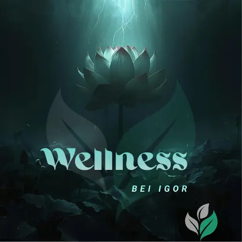 Wellness bei Igor Logo